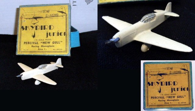 skybirds mew gull.jpg